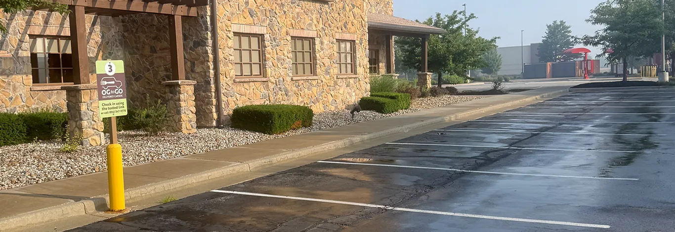 Kills mold and algae